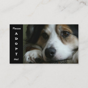 Australian Shepherd Working Dog Shelter Card