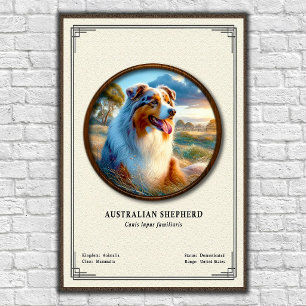 Australian Shepherd Zoology Series Poster