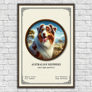 Australian Shepherd Zoology Series Poster