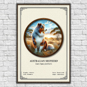 Australian Shepherd Zoology Series Poster