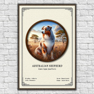 Australian Shepherd Zoology Series Poster