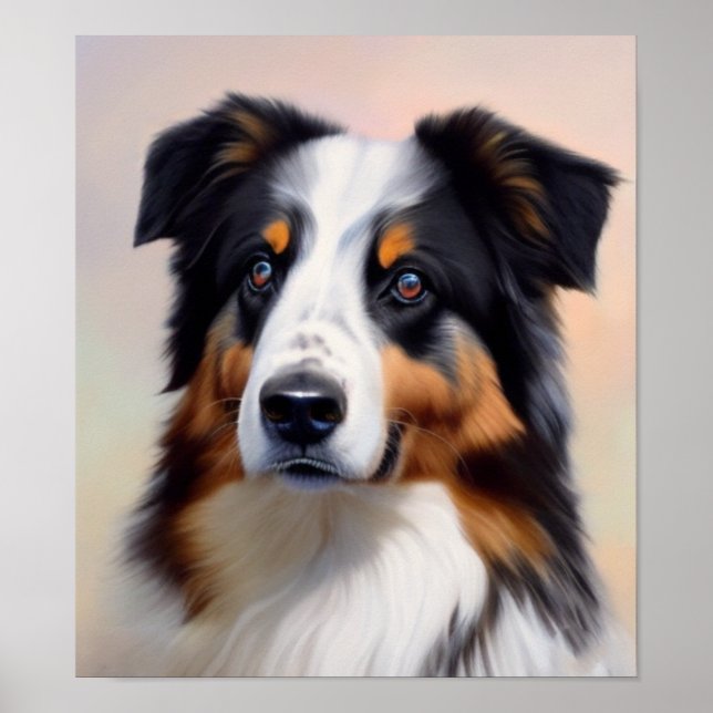 Australian Shepherd's head Poster (Front)
