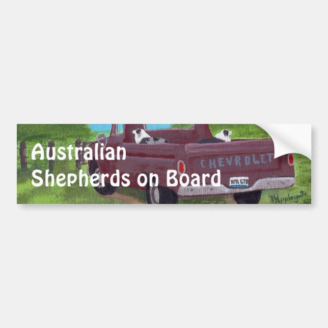 Australian Shepherds on Board Bumper Sticker (Front)