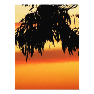 Australian Silhouette Sunset Photo Print