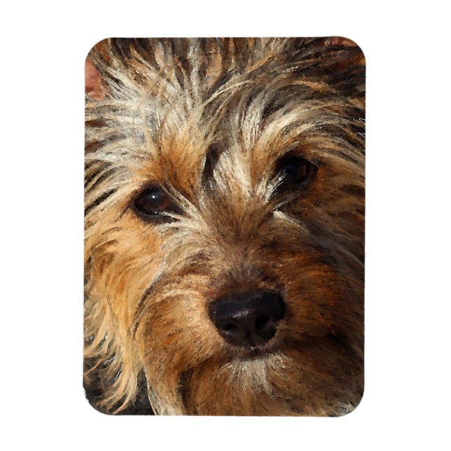 Australian Silky Terrier Magnet (Vertical)