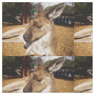 Australian Sleepy Kangaroo Closeup, Fabric