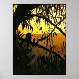 Australian Solstice Sunset Poster