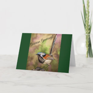 Australian Splendid Fairy Wren Card