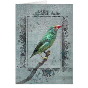 Australian Star Finch on Music