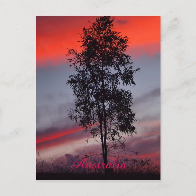 Australian stormy sunset postcard (Front)