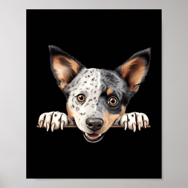 Australian Stumpy Tail Cattle Dog Mum Dad Peeking Poster (Front)