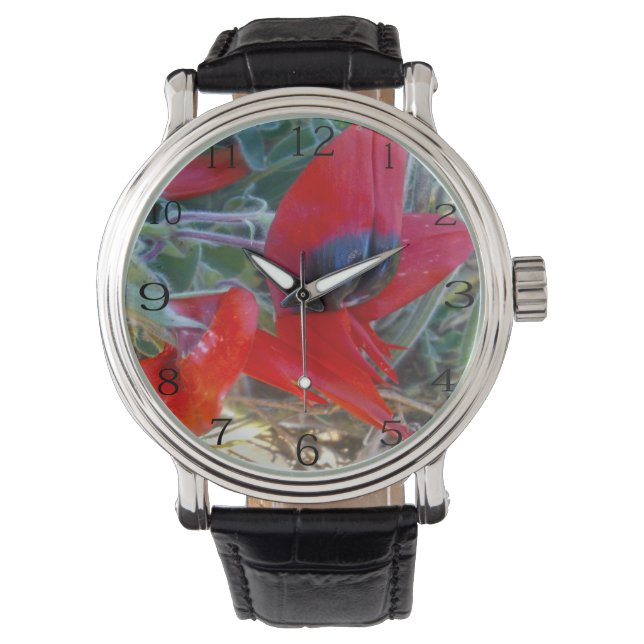 Australian Sturts Desert Pea,  Watch (Front)
