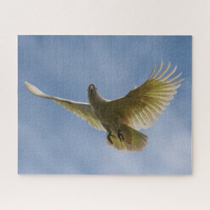 Australian Sulphur-crested Cockatoo, 520 pieces Jigsaw Puzzle