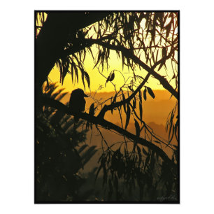 Australian Sunset Kookaburra Silhouette Photo Print