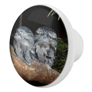 Australian Tawny Frogmouth Owls, Ceramic Pull