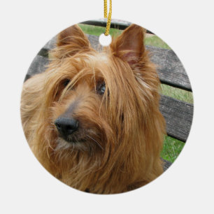 australian terrier on bench.png ceramic tree decoration