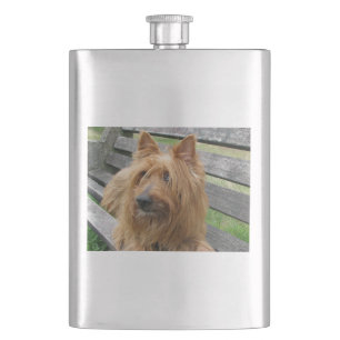 australian terrier on bench.png hip flask