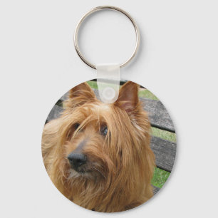 australian terrier on bench.png key ring