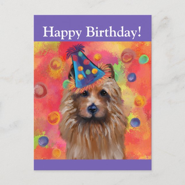 Australian Terrier      Postcard (Front)