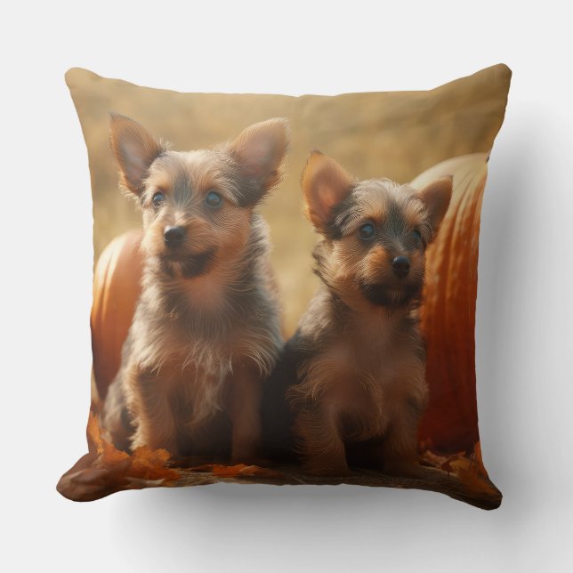 Australian Terrier Puppy Autumn Delight Pumpkin Cushion (Front)