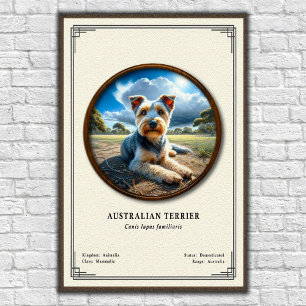 Australian Terrier Zoology Series Poster