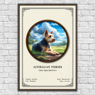 Australian Terrier Zoology Series Poster