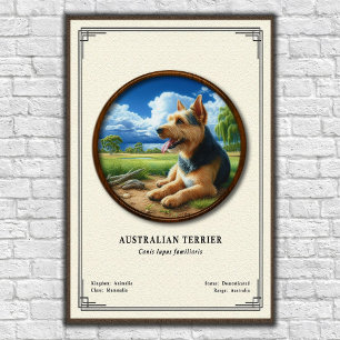 Australian Terrier Zoology Series Poster