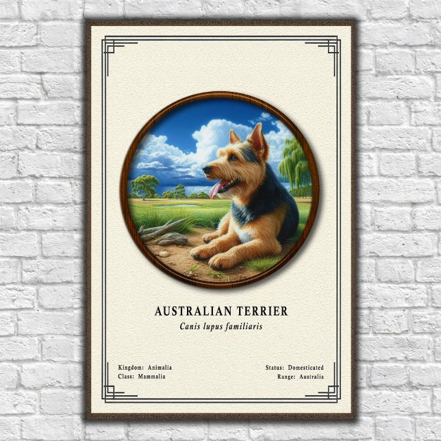Australian Terrier Zoology Series Poster (Creator Uploaded)