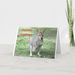 Australian themed  Christmas & Holiday cards