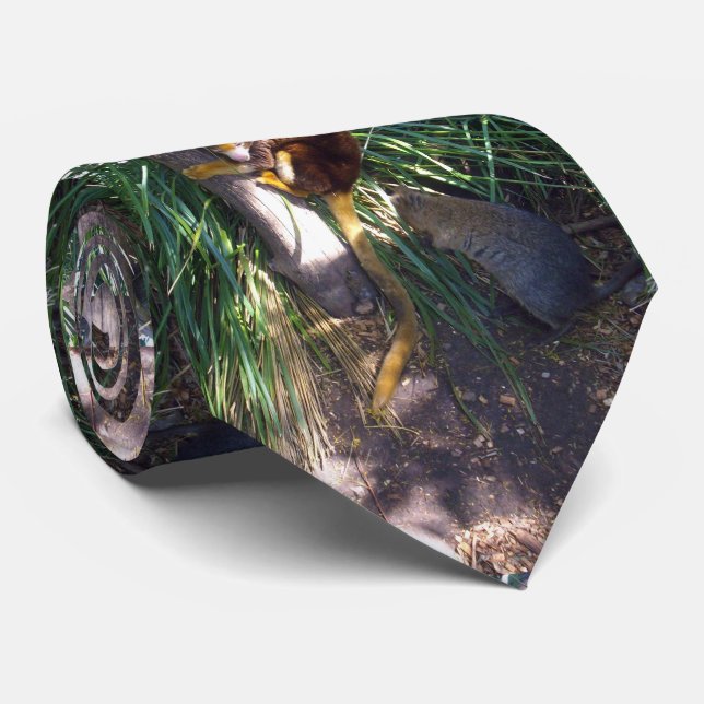 Australian Tree Kangaroo,  Neck Tie (Rolled)
