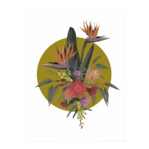 Australian Tropicals