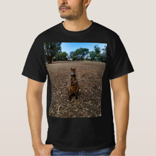 Australian Wallaby Holding A Stick,  T-Shirt