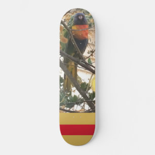 Australian Wattle Rainbow Lorikeet Cockatoo Bird Skateboard