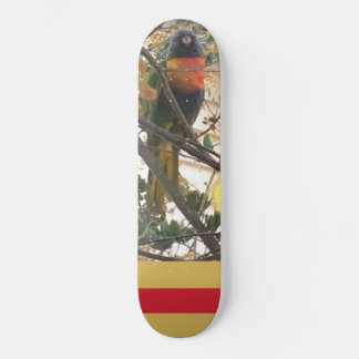 Australian Wattle Rainbow Lorikeet Cockatoo Bird Skateboard