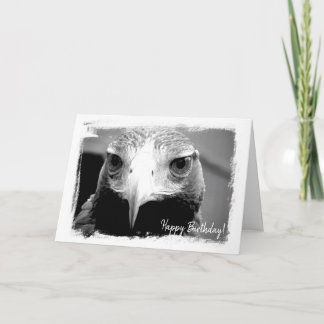 Australian Wedged Tailed Eagle Greeting Card