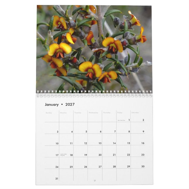 Australian wildflowers calendar (Jan 2027)