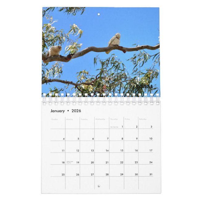 AUSTRALIAN WILDLIFE CALENDAR (Jan 2026)