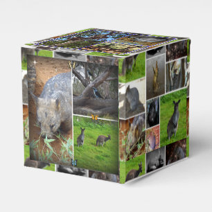 Australian Wildlife Collection, Favour Box