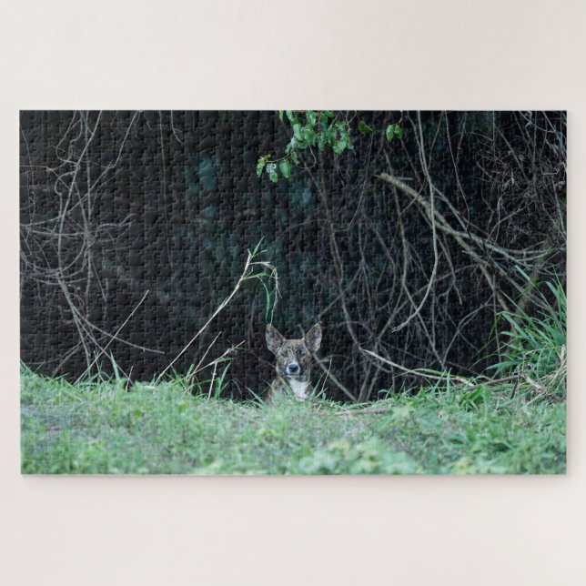 Australian Wildlife Dingo Puppy  Jigsaw Puzzle (Horizontal)