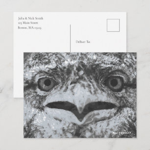 Australian Wildlife, Nature's Curmudgeon, Animal Postcard