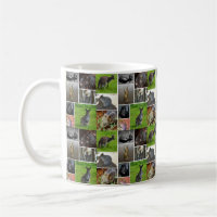Australian Wildlife Picture Collage,
