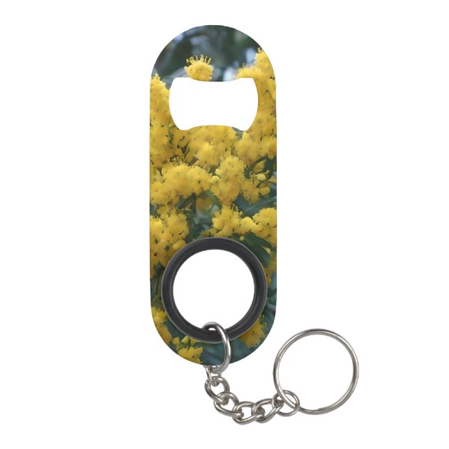 Australian Yellow Wattle Tree,  (Back)
