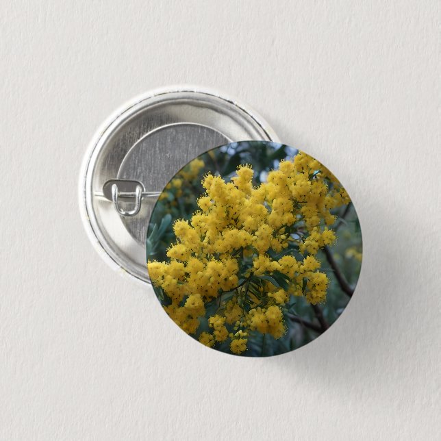 Australian Yellow Wattle Tree,  3 Cm Round Badge (Front & Back)