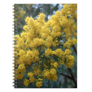 Australian Yellow Wattle Tree, Notebook