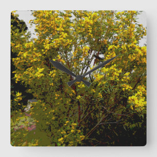 Australian Yellow Wattle Tree Oil Paint, Square Wall Clock