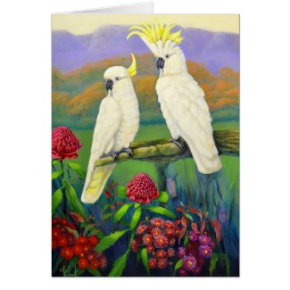 Australiana 1 cockatoos card
