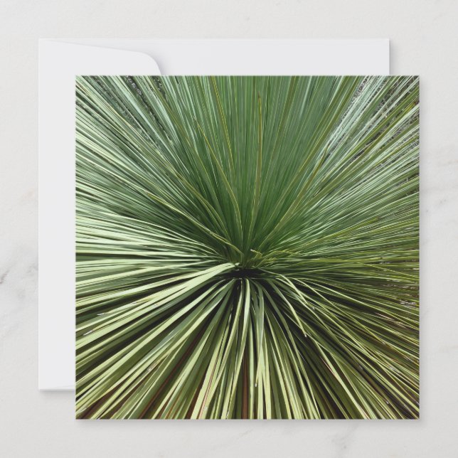 Australien Plant - abstract (Front)