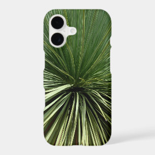 Australien Plant - abstract