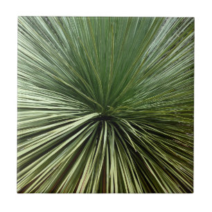 Australien Plant - abstract Ceramic Tile