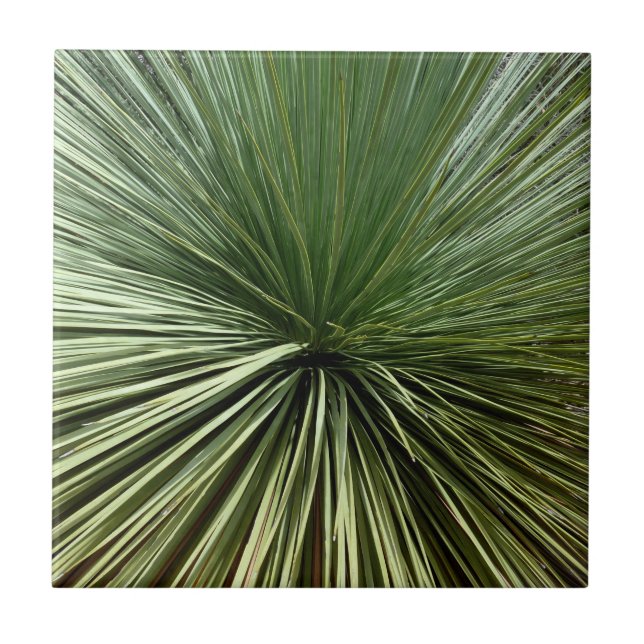 Australien Plant - abstract Ceramic Tile (Front)